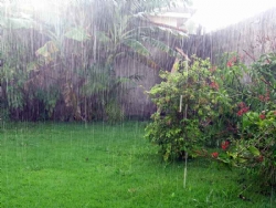 Águas de chuva e de quintal não são esgoto