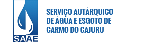 Logo SAAE Carmo do Cajuru MG