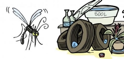 Vistoriar imóveis é a melhor prevenção contra o Aedes
