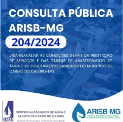 CONSULTA PÚBLICA ARISBMG 2042024  CARMO DO CAJURU